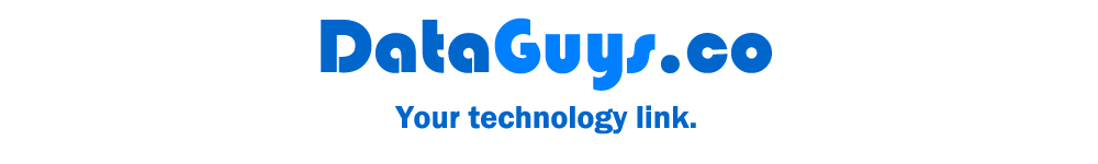 Data Guys